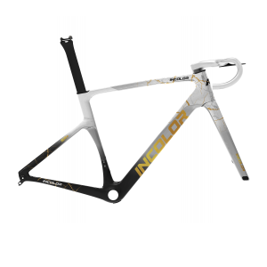 INCOLOR SR Road Frameset - Image 7